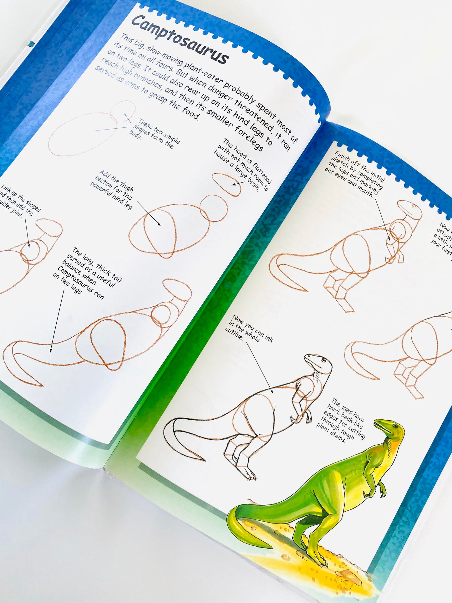 I Can Draw Dinosaurs Book