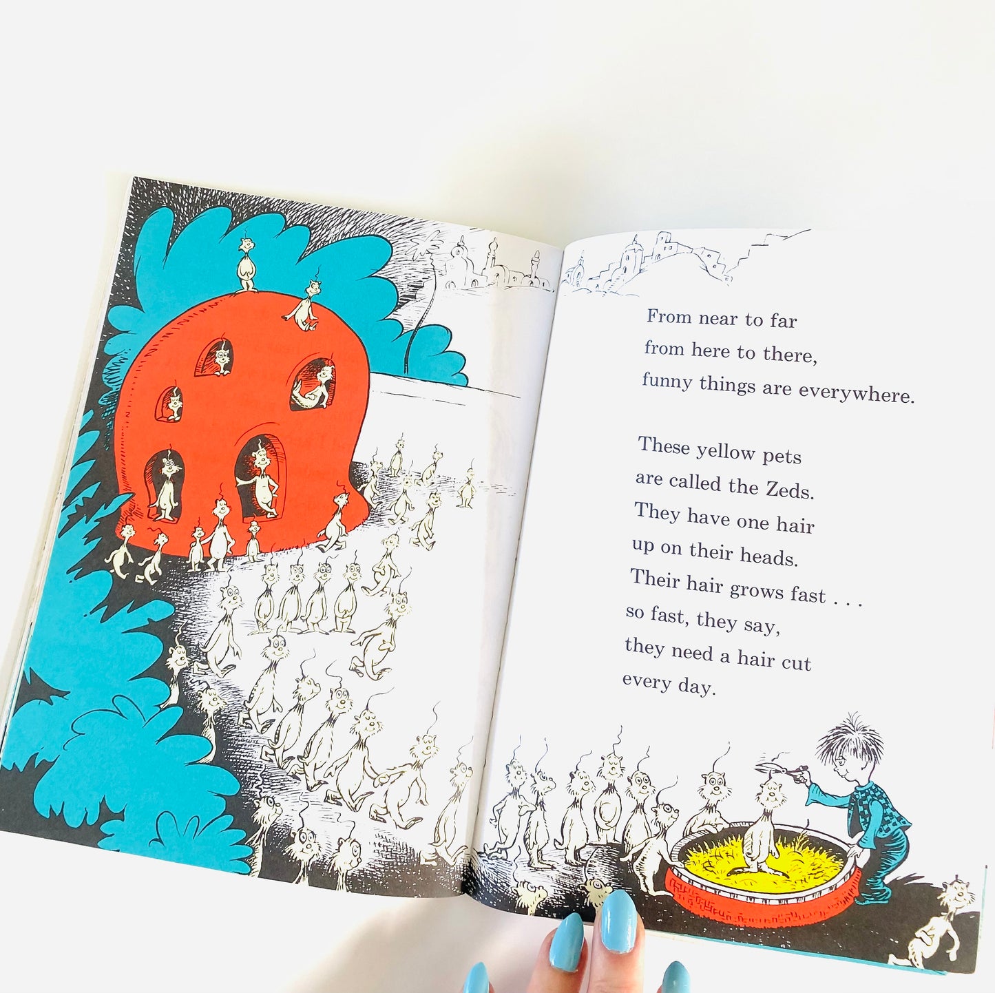 One Fish Two Fish Red Fish Blue Fish Book