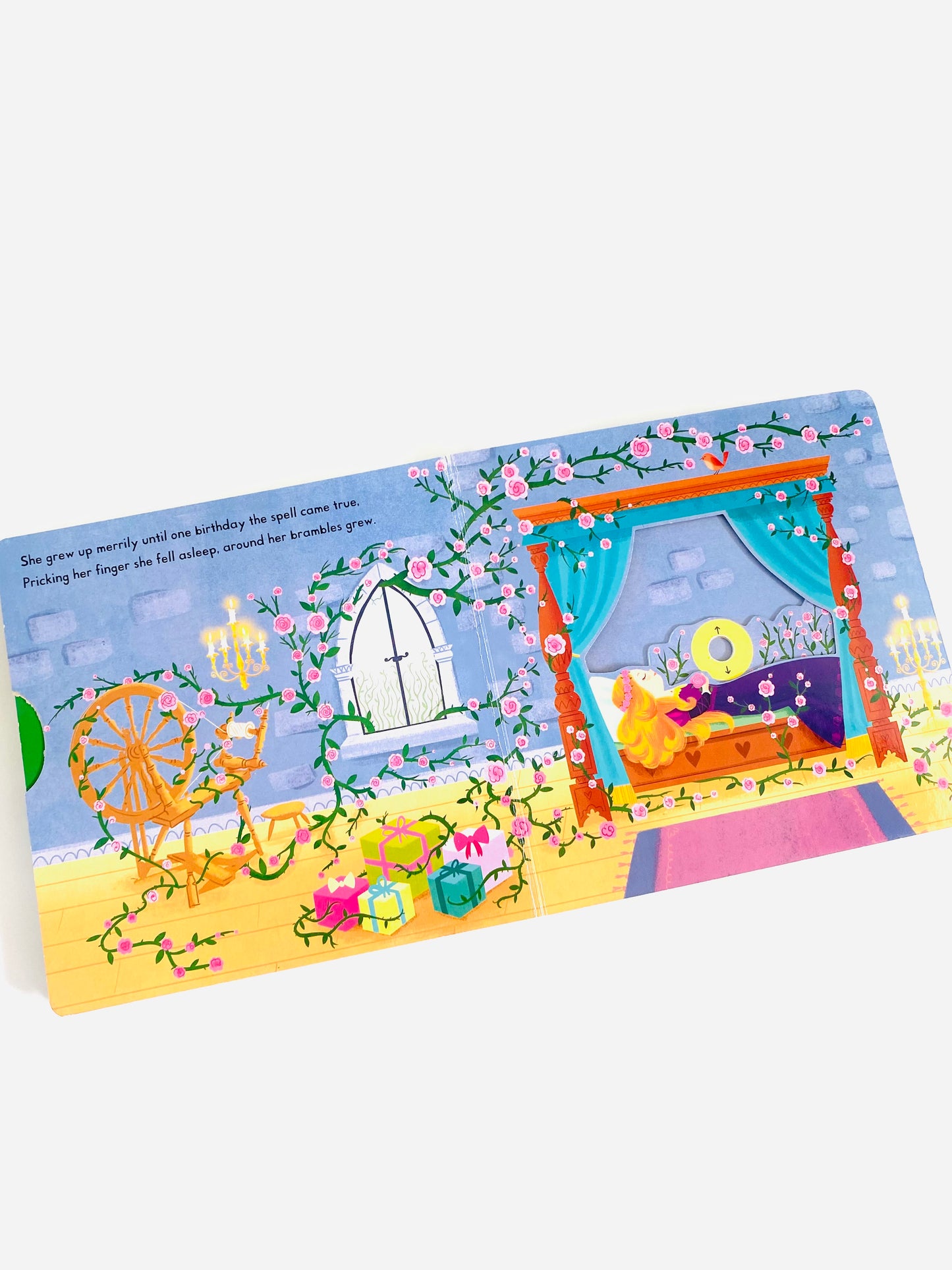 Sleeping Beauty Book