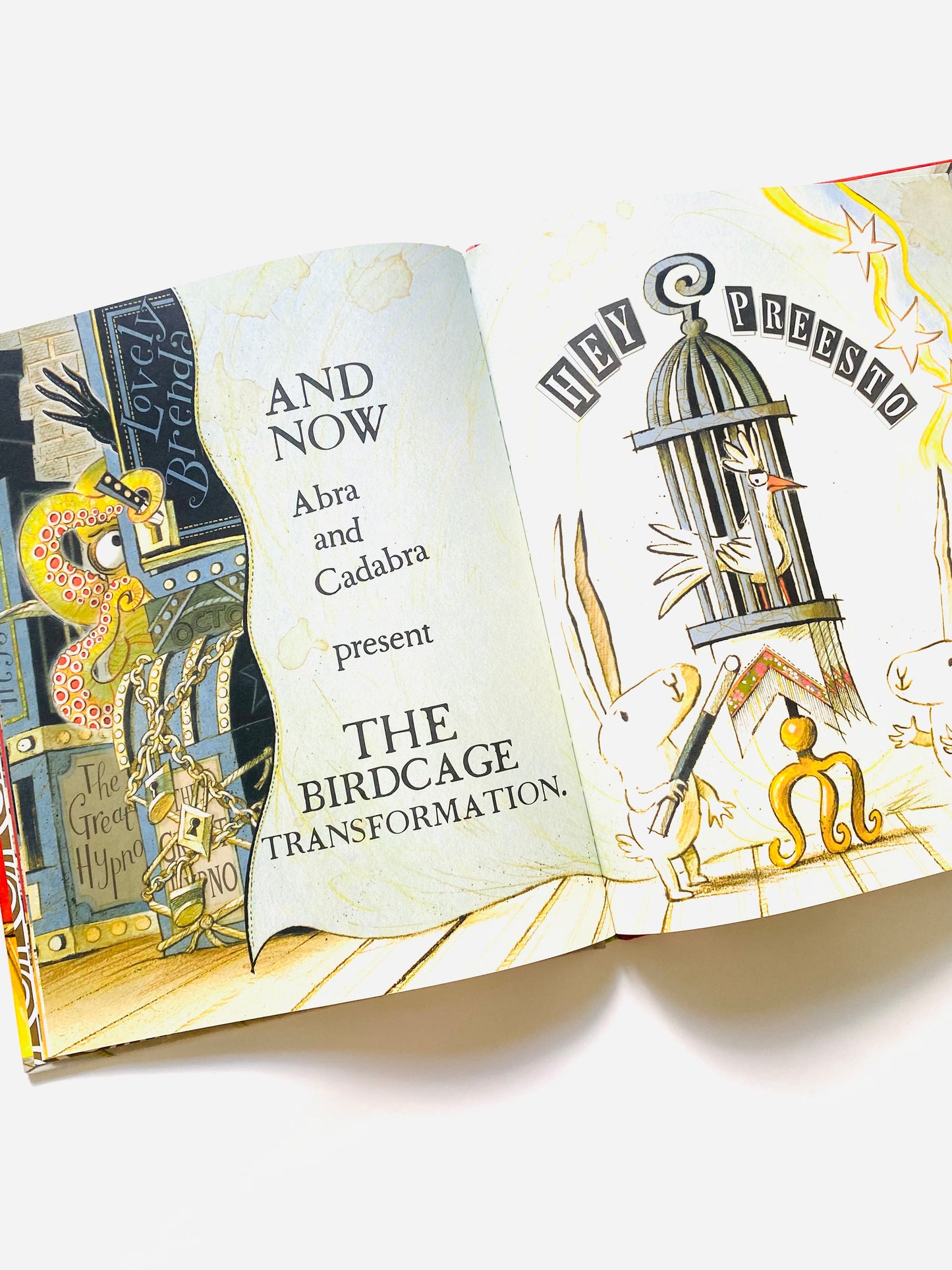 Bad Bunnies Magic Show Book