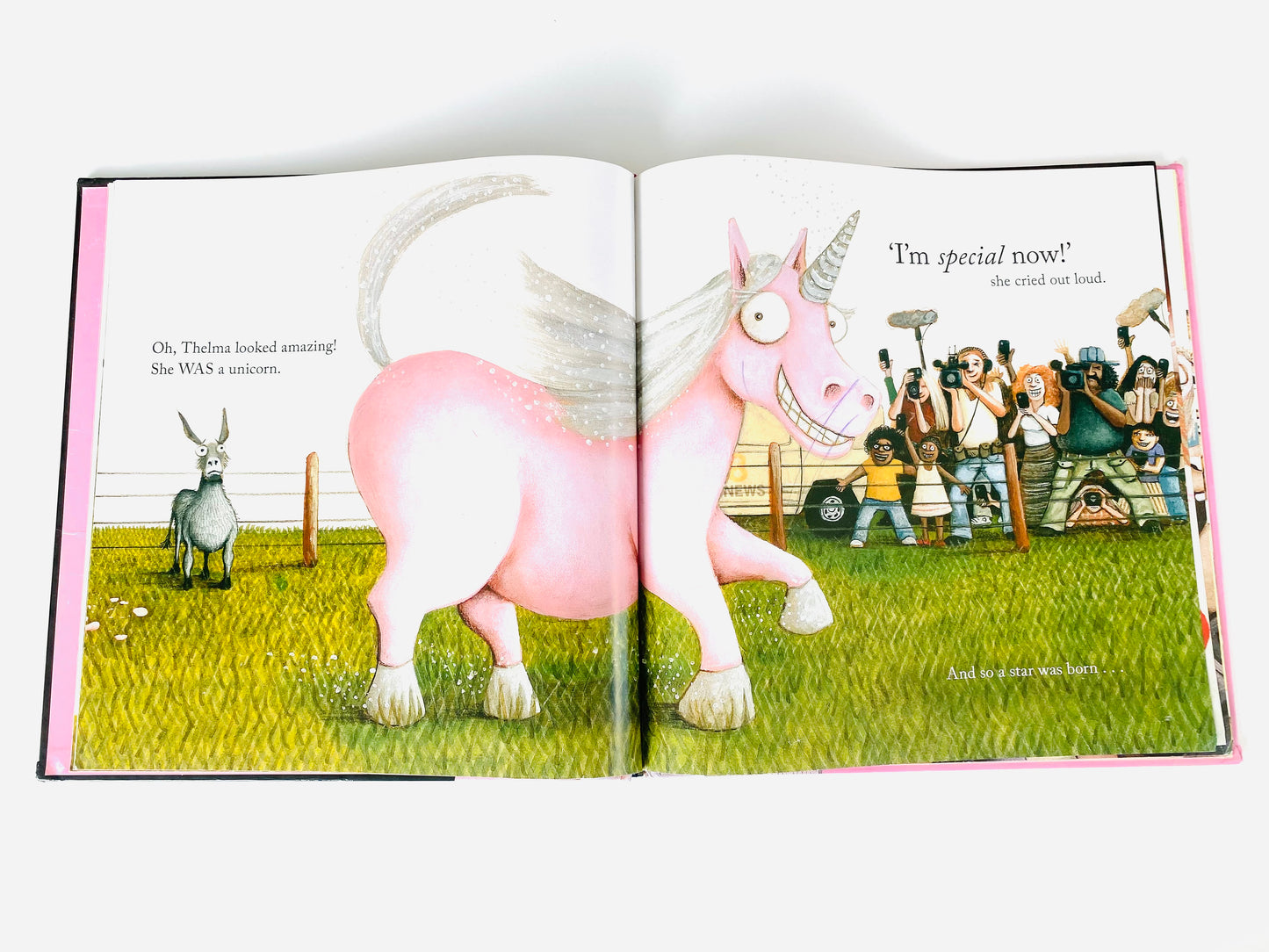 Thelma the Unicorn Book