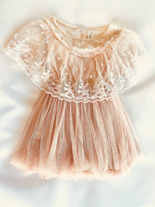 Princess Tulle Dress (2YR)