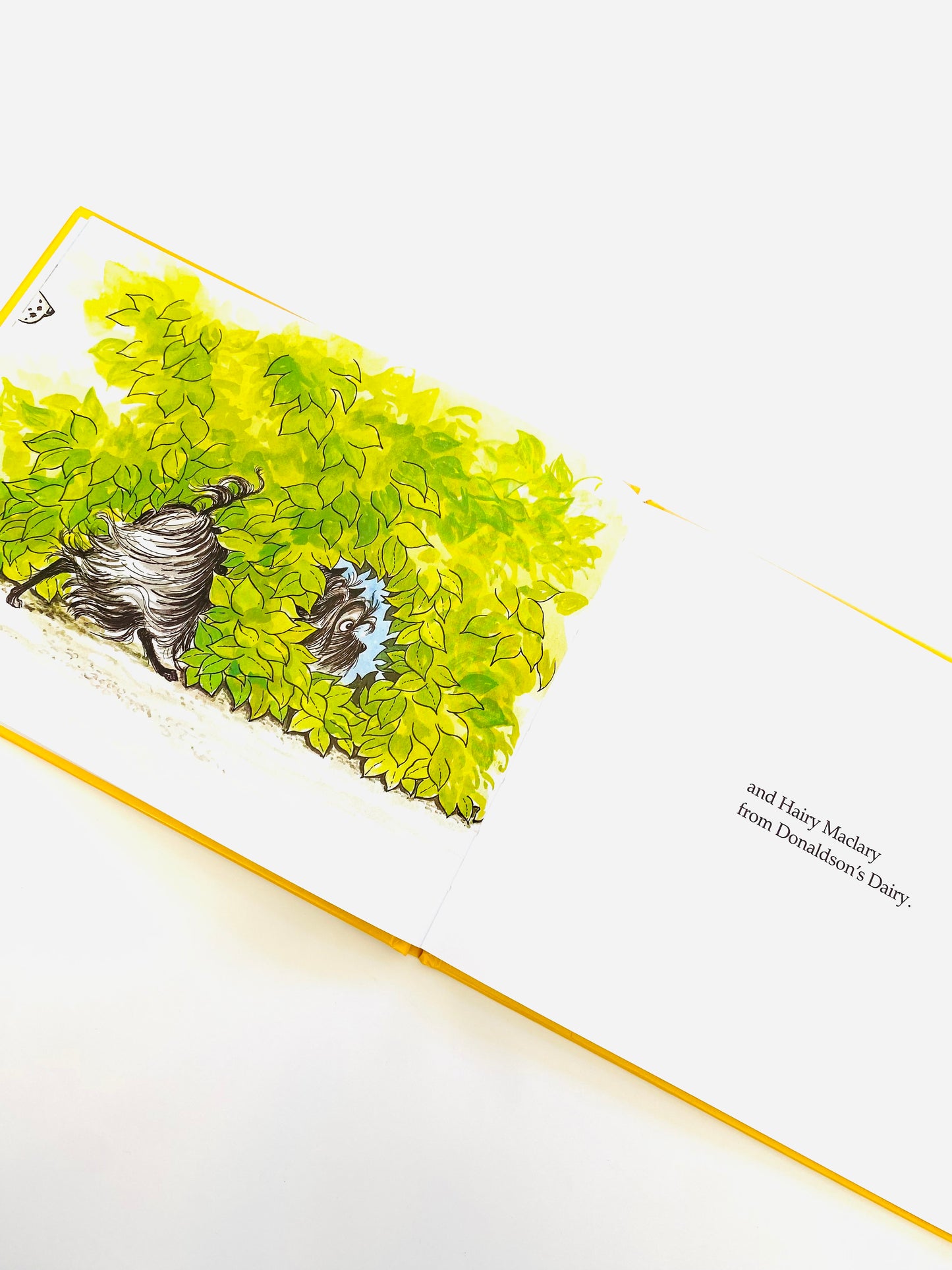 Hairy Maclary Book