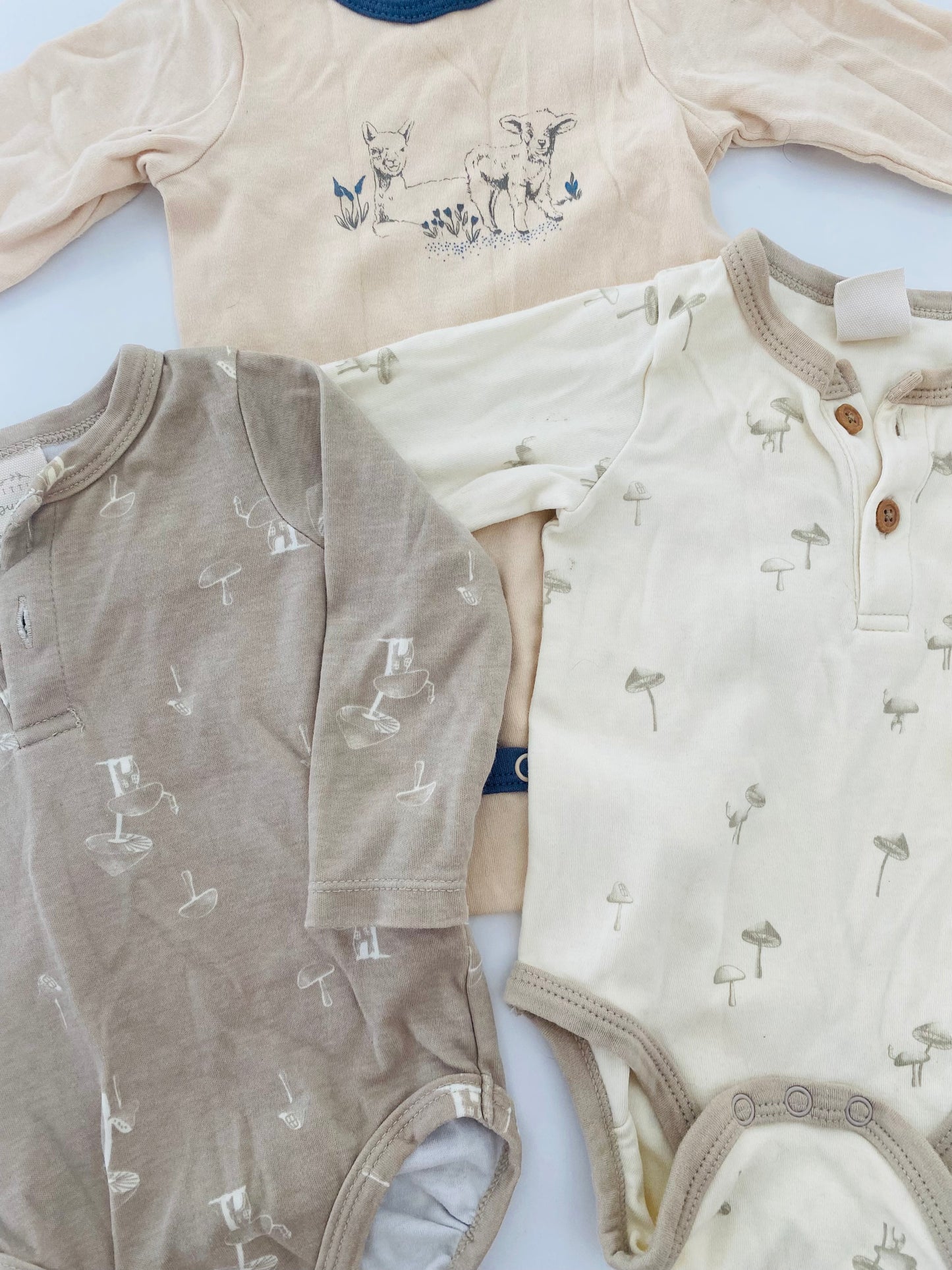 Bodysuit Bundle (3-6m)