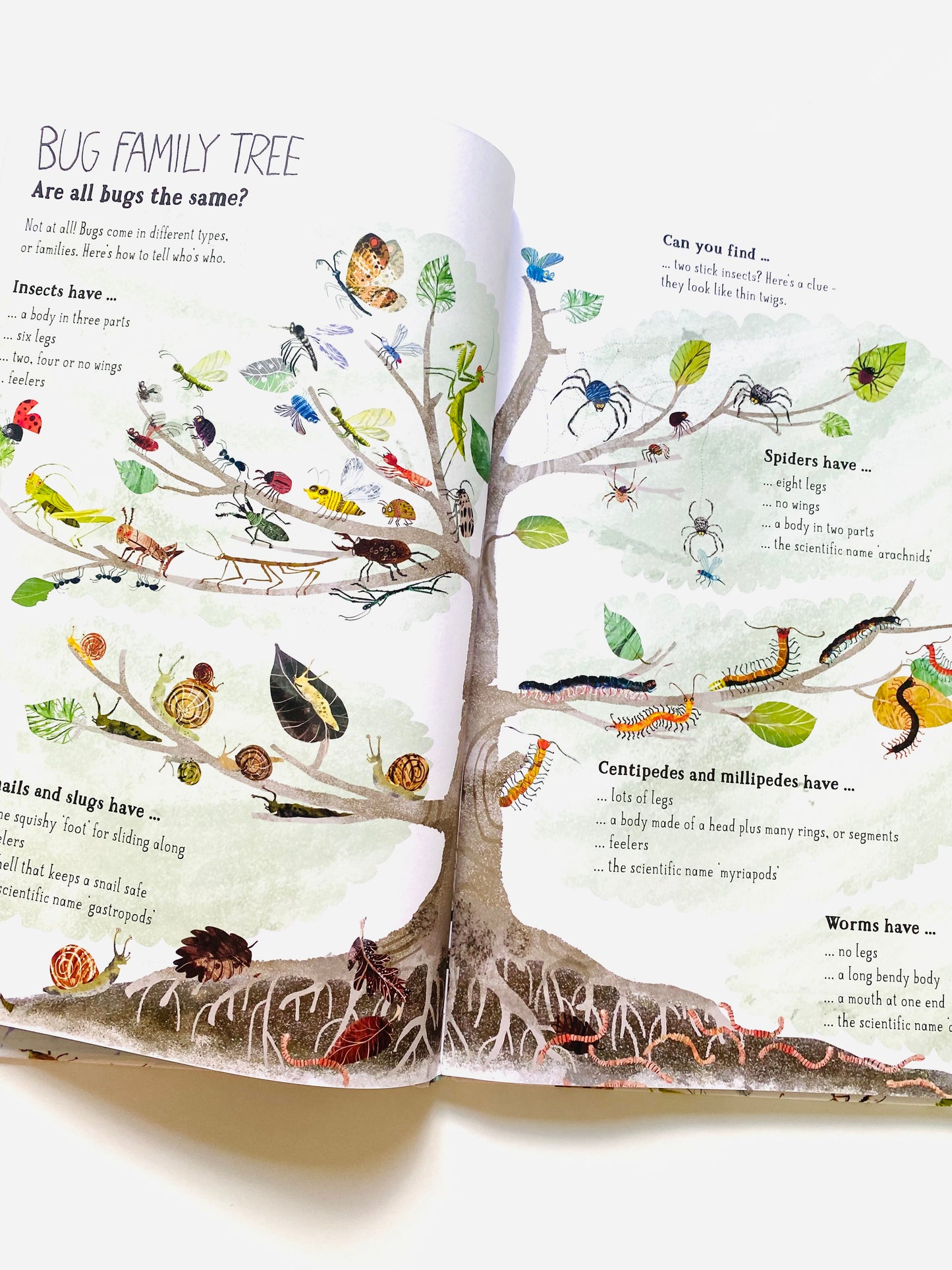 The Big Book of Bugs