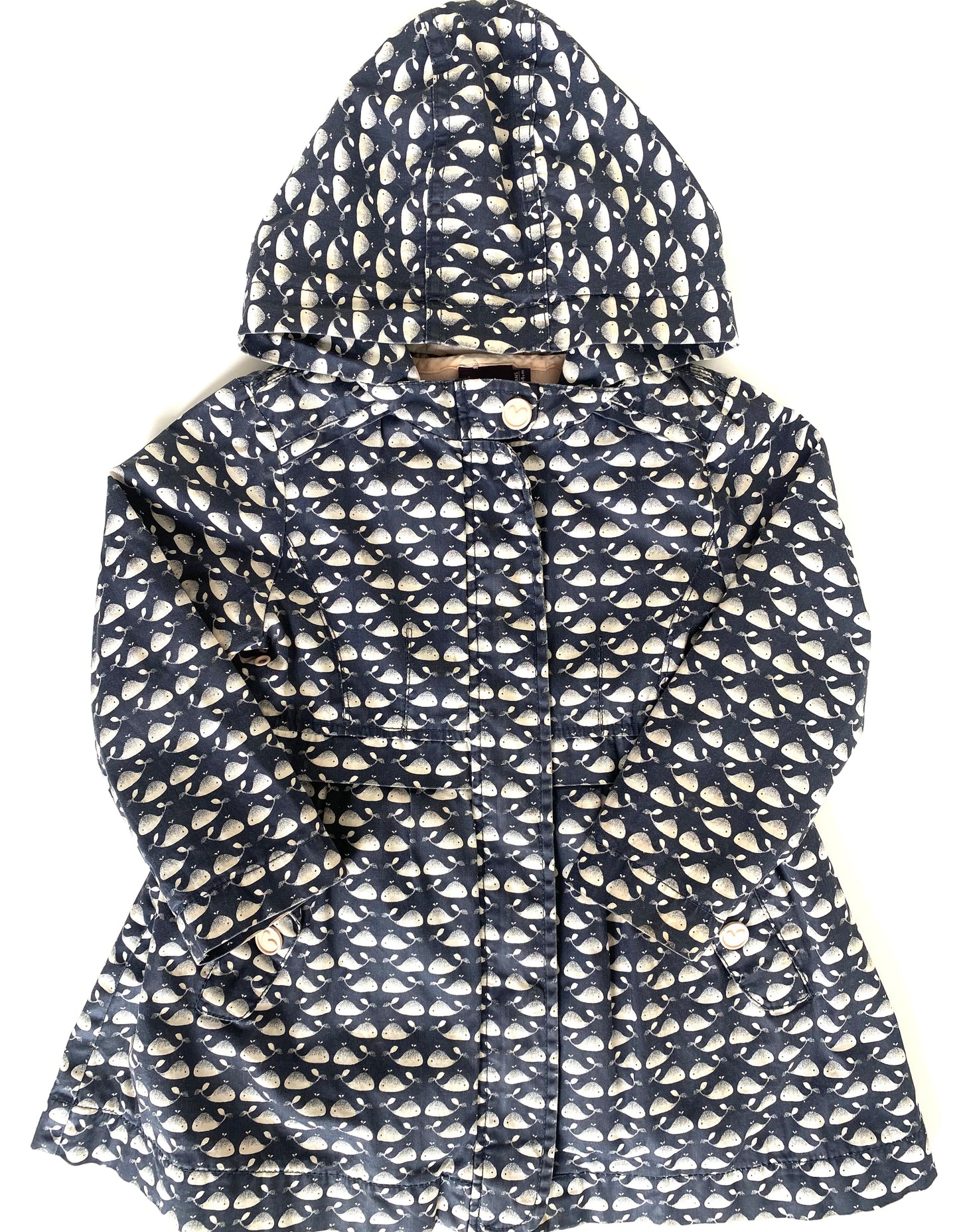 Sergent Major Whale Coat (4YR)