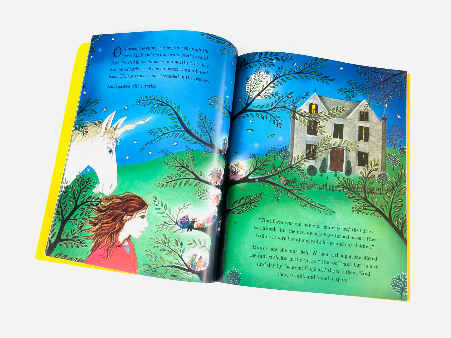 The Unicorn Prince Book