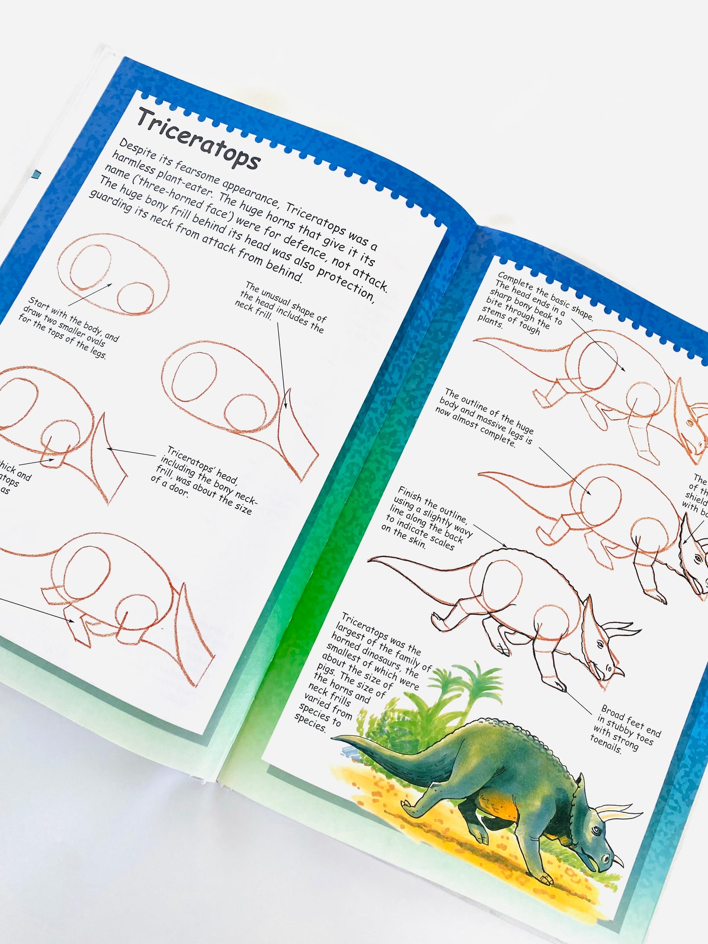 I Can Draw Dinosaurs Book