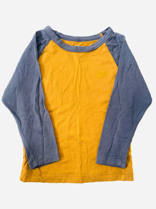 Icebreaker Merino (2YR)